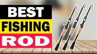 Top 10 Best Fishing Rod in 2024