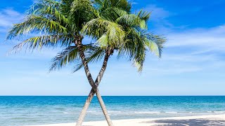 Fondo de Pantalla de Playa Paradisíaca en el Caribe con la mejor música relajante