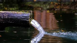 Релакс под звуки журчания воды. Relax to the sound of water murmuring.