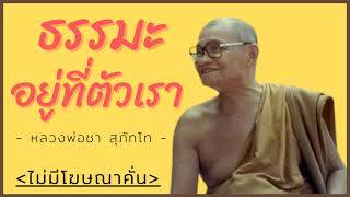 ธรรมะก่อนนอน | ธรรมะอยู่ที่ตัวเรา หลวงพ่อชา สุภัทโท | [ธรรมะดีดีไม่มีโฆษณาคั่น]