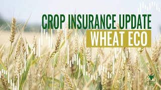 Crop Insurance Updates | Wheat ECO