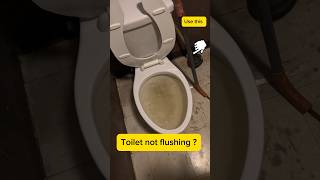 Toilet Not Flushing