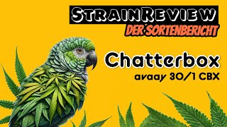 Der medizinische Sortenbericht - Chatterbox - avaay 30/1 CBX