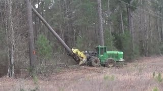 John Deere Shear Cutting Some Huge Pines!