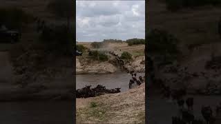 Watching the Great Migration: Sand River Crossing