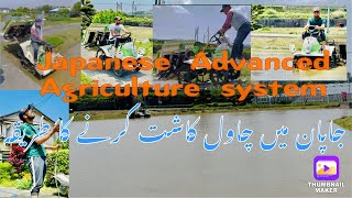 Rice farming in Japan by Pakistani | Pakistani in Japan |Daily life of Japan