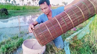 Bamboo Trap Fishing In My Village Get Many Fish Crab Snake/Fishing Videos - PU MENG Fishing