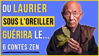 5 Choses Incroyables Arrivent à Ton CERVEAU Si Tu Mets du LAURIER SOUS L'OREILLER - Histoire Zen