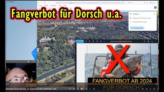 Fangverbot für Dorsch u.a.