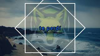 Widinson - Te perdí (Letra/Lyrics)