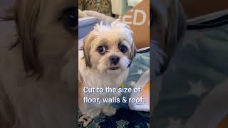 Fixing Plush Dog House That Arrived Shapeless For Shih Tzu & Toy Poodle