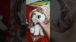 It came, the karen plush! @mistermainer #unboxing #plushies #funny #karen #biscut