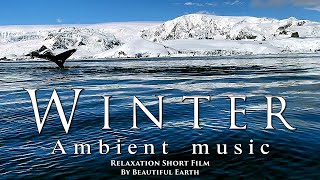 Listen nice ambient music and look at the views of the winter landscape.  Relaxation Film. Part 2