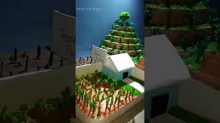 Terrace farming || Jhum cultivation || Art and craft || DIY