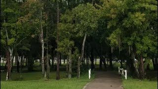 WALKING EXERCISE EVEN ON A FLOODED TRAIL!!! 2024 video # 431