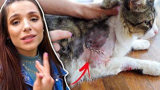 O Manoel SE MACHUCOU FEIO 😰😖 | VLOG #4