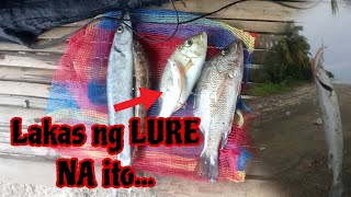 Sulit talaga ang lure na ito | matutuwa ka sa mga nahuhuli | Shore casting philippines | DENZTRIBE