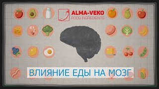 Влияние еды на мозг