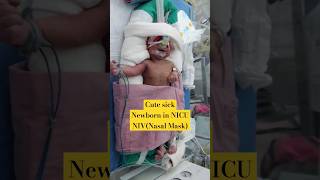 Cute sick Newborn in NICU|| #youtubeshorts #shorts #shortvideo