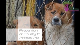 Prevention of Cruelty to Animals