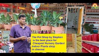 THE POT SHOP BY STEPHEN ECR|Cheapest Nursery Garden/Indoor Plants shop