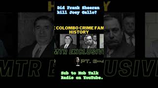 Did Sheeran kill Gallo? #podcast #history #mafia #truecrime