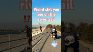 Weird shit you see on the river trail part 2 #cylcling #bicycle #bike