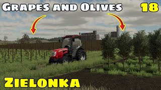 FINALLY got grapes and olives! - Zielonka Ep 18 - Farming Simulator 22 Premium Expansion