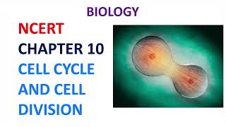 Chapter 10 - Cell Cycle and Cell Division- Class XI, NCERT [Hindi] Notes and Lecture