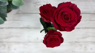 Unboxing ❤️ Long Fleur Rouge Preserved Roses