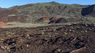 El Hierro, Orchilla