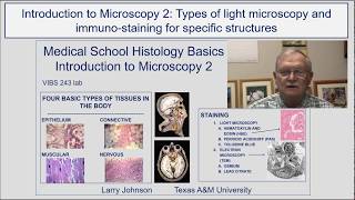 Types of Light Microscopy and Immuno Staining for Specific Structures