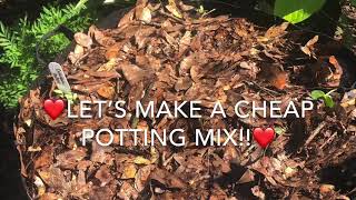 How to Save Money on Potting Soil in Hot Climates