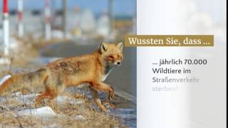 Wildtiere im Straßenverkehr