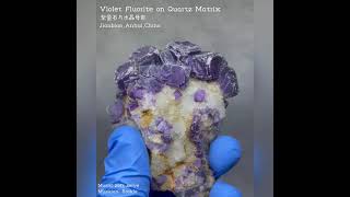 Violet Fluorite on Quartz Matrix