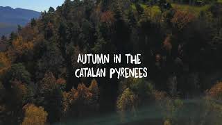 Autumn in the Catalan Pyrenees