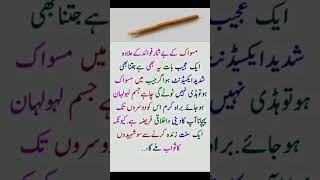 miswak Ke faide