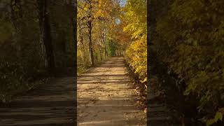 Bike into Memorcise @ YouTube  Fall/cvnp