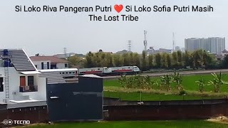 SI LOKO RIVA PANGERAN PUTRI ❤️ SI LOKO SOFIA PUTRI MASIH THE LOST TRIBE - Ka Serayu Pagi Lagi Menari