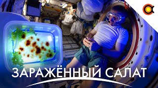 ЗАРАЖЕННЫЙ САЛАТ НА МКС