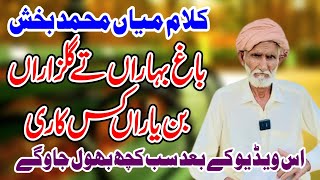 kalam mian muhammad bakhsh | bag baharan tay gulzaran | new Punjabi Kalam 2024