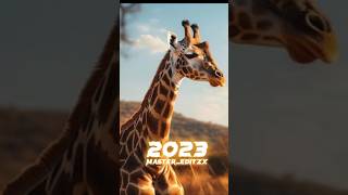 2023 Giraffe 🦒 BS 5000bc giraffe 🦒##