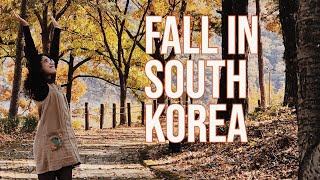 Fall In South Korea // An Ode to Autumn