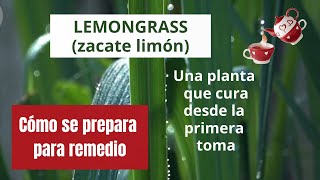 ¡CÚRATE CON LEMONGRASS! Esta planta medicinal no debe faltar en casa (mira por qué)