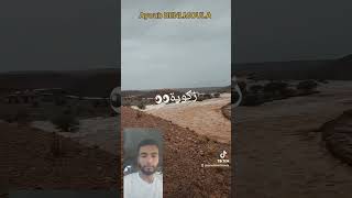 منطقة "أولاد يحيى لكراير" إقليم #زاكورة 🌧🌧تبارك الرحمن أحسن الرازقين 💯