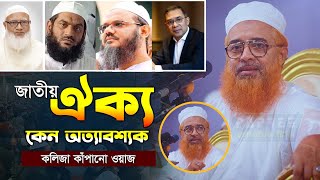 জাতীয় ঐক্য নিয়ে যা বললেন আল্লামা খুরশিদ আলম কাসেমী | Allama Khurshid Alam Kasemi