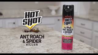 Hot Shot Ant, Roach and Spider Killer