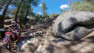 Woods and Rocks,  Single Tracks and Squids