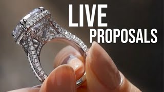 Live proposals uncut