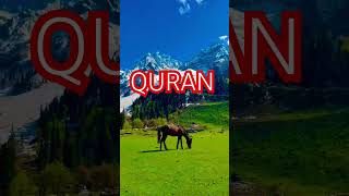 Surah Anfal Ayat no 15-18 urdu translation #shortvideo#reels #islamic#video